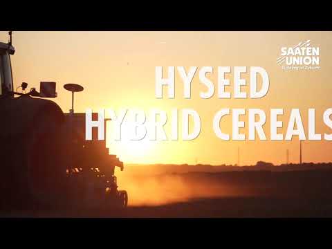 Saaten-Union: HySeed Hybrid Crops