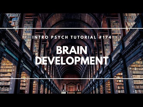 Developmental Psychology Erikson s 8 Ages of Man Intro Psych Tutorial 171