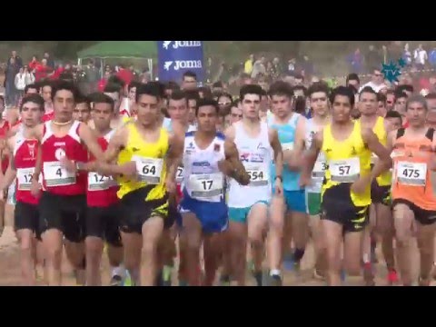 942 corredores participaron el II Cross “Villa de La Nucía” puntuable para el Circuito Autonómico