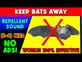 ANTI BATS REPELLENT SOUND ⛔🦇 KEEP BATS AWAY - ULTRASONIC SOUND