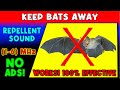 ANTI BATS REPELLENT SOUND KEEP BATS AWAY ULTRASONIC SOUND