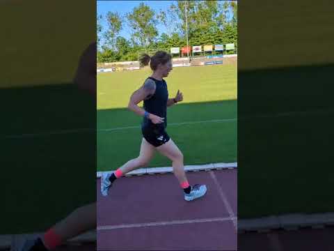 Strecken Warener Sommerlauf