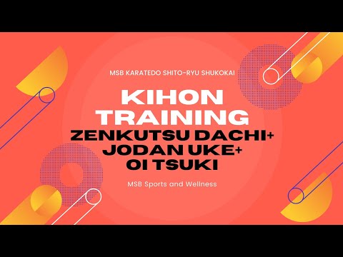 Basic Karate Training (Oi Tsuki+Zenkutsu Dachi+Jodan Uke)