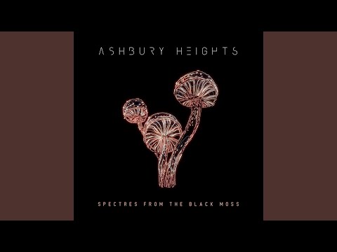 Spectres from the Black Moss