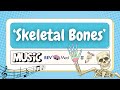Skeletal Bones By Study Songz Ft Illustrations By REV MED Anatomy Music