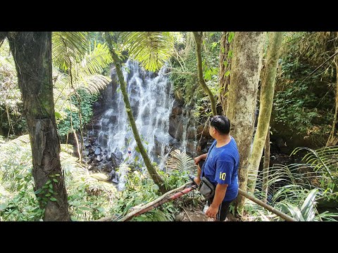 Cachoeira Kanto Lampo (Wisata Air Terjun Kanto Lampo) Bali 4K 🇲🇨