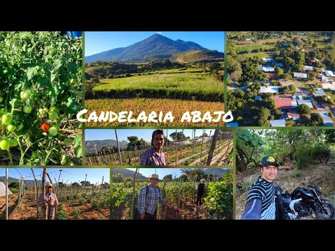 Drone en Cantón Candelaria Abajo, San Cayetano Istepeque, San Vicente