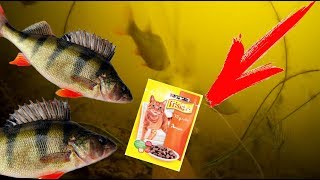 Рыбалка кошачий корм прикормка для рыбы