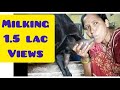 Viral Milk Making Vlog