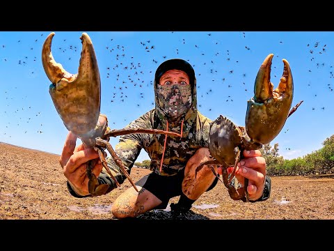 SURVIVING Remote Australia - GIANT CRABS Catch and Cook (Millions of Flys)