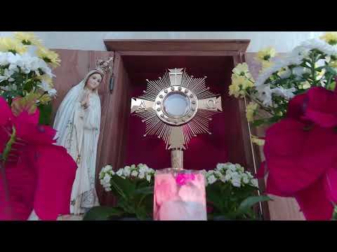 Live-Eucharistic Adoration from 3ltv Vienna, Austria