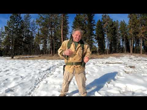 Why Hollow Points Don't Expand