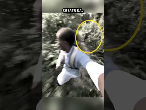 Terror in the Forest! Encounter with the UNKNOWN 😱