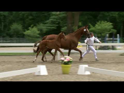 van Gemert, Valverde-Londonderry-De Niro