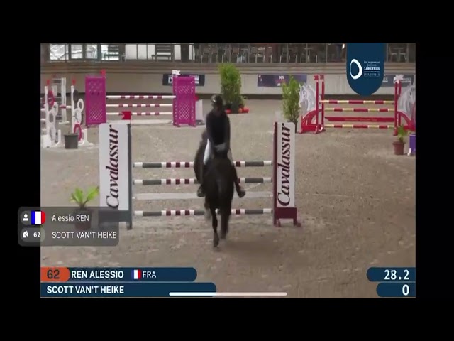 Hongre 8 ans - Prix a d&eacute;battre 