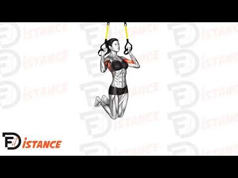 Exercice Tractions TRX