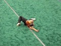 Master Hu Wushu Drunken Monkey