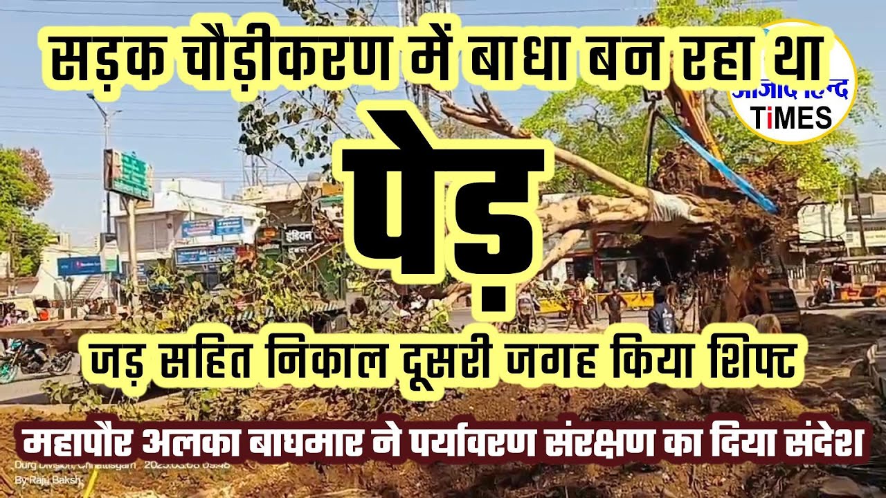 सड़क चौड़ीकरण में बाधा बन रहा था पेड़, दूसरे स्थान पर किया गया शिफ्ट, देखें VIDEO
