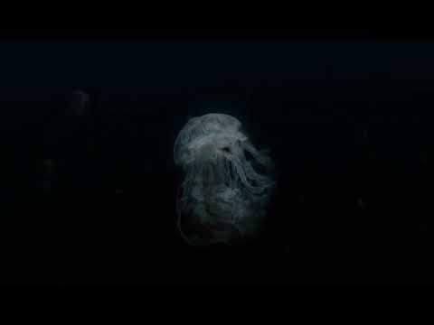 Realidad Virtual - Nanoscape