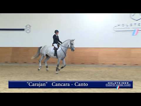 105. Carajan v. Cancara - Canto