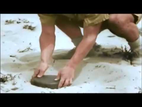 Goataholic - The Desert Fox