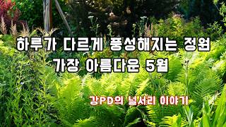 꽃과 잎이 함께 만드는 5월의 정원_정원사의 널서리 이야기