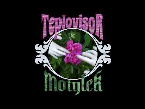 TeplovisoR - motylek (single)