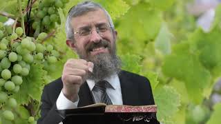 מסכת נזיר דף ב  - 8 דקות של לומדות ועמקות בדרך הלימוד הישיבתית [nazir 2]