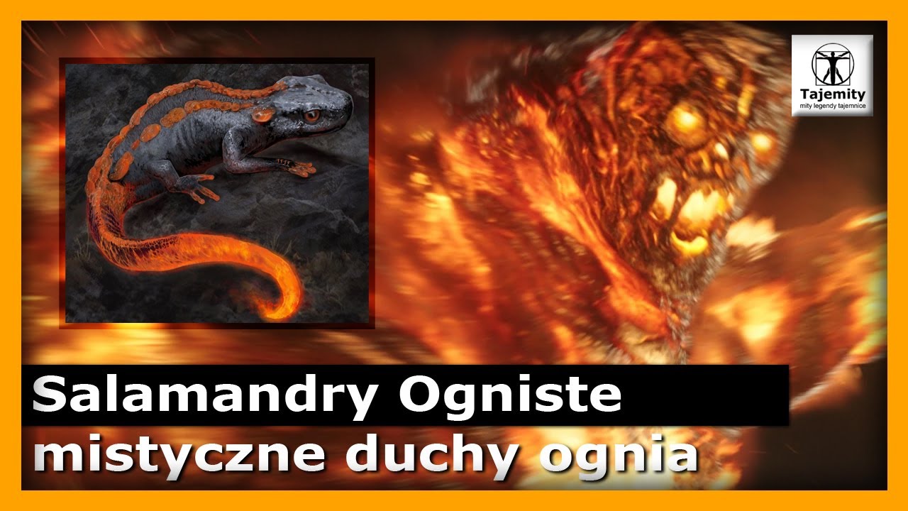 Salamandry ogniste - mistyczne duchy ognia