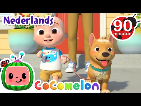 Het JJ Lied | CoComelon Nederlands - Kinderliedjes