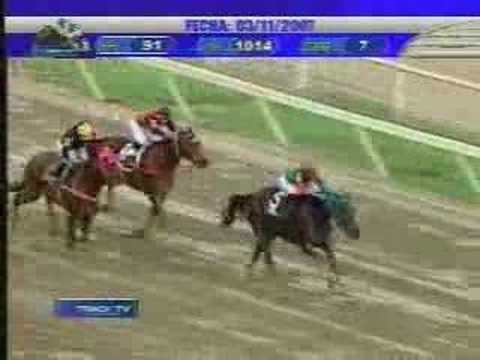 RESUMEN CARRERAS SABADO 03 NOVIEMBRE