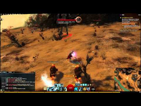 DPS Guardian (9s~ Veteran Giant Kill)