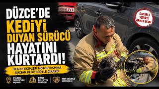 İstanbul Caddesi’nde Kedi Kurtarma Operasyonu