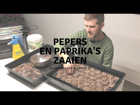 , title : 'TM19#4 : Pepers, paprika's en aubergines zaaien'