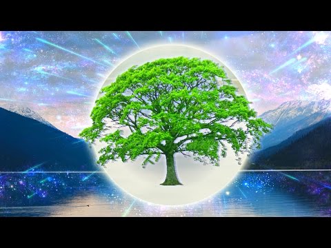 Relaxing Hang Drum & Flute Music ● Tree of Life ● Meditation, Healing Music for Relaxation, Yoga 072