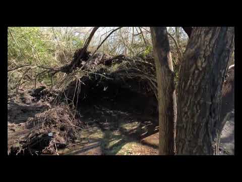 Zona Arroyo San Francisco interior de Paysandú