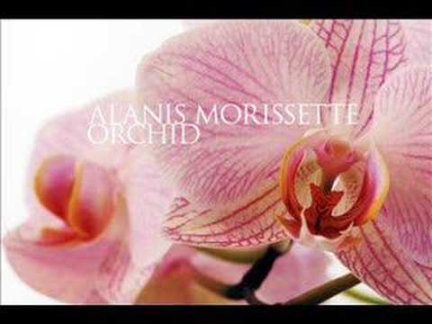 Alanis Morissette - Orchid (w/ Lyrics)