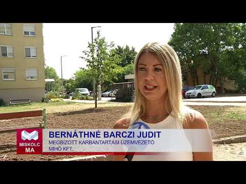 Videó előnézet
