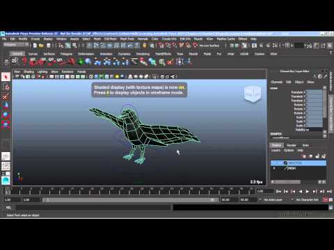 Autodesk Maya 2015 Tutorial | What To Expect