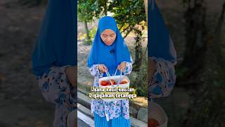 Download lagu Small business thwarted by a neighbor #drama #veggietomato #tomatofruit #gardenharvest mp3 Download lagu Small business thwarted by a neighbor #drama #veggietomato #tomatofruit #gardenharvest mp3