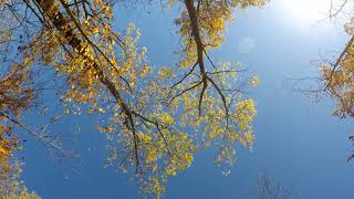 Citizen - "Discrete Routine" (Music Video)