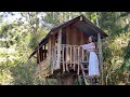 My Treehouse in the Rainforest: Living in an Off Grid Cabin
