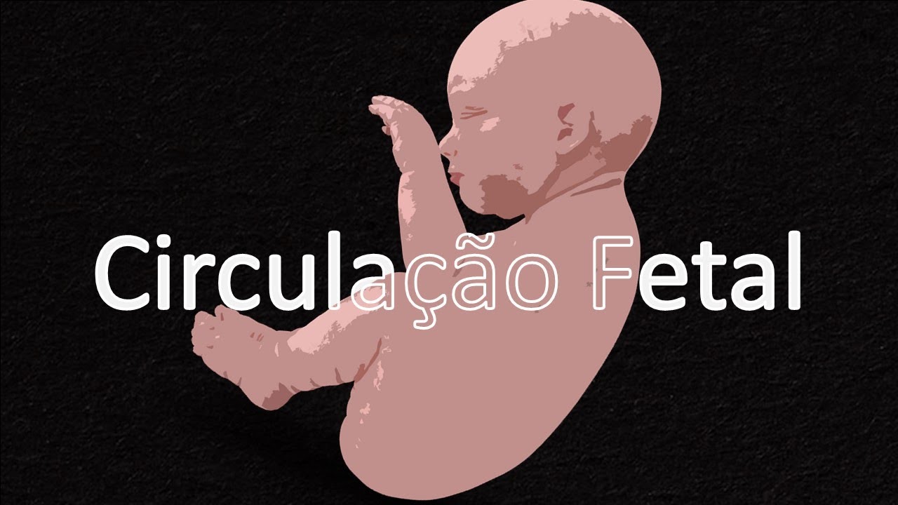 Circulação fetal