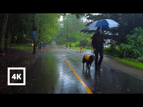 4k Rainy Day Walk Heavy Rain On Boston Somerville Bike Path | ASMR Walking