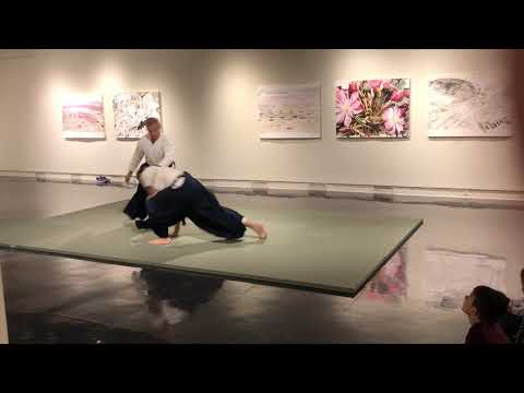 2018 10 06 Superbloom Aikido Performance A