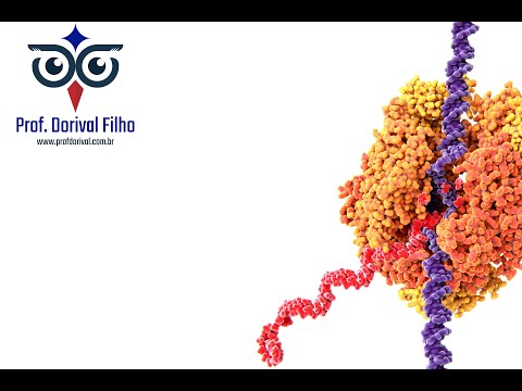 Transcrição - parte II