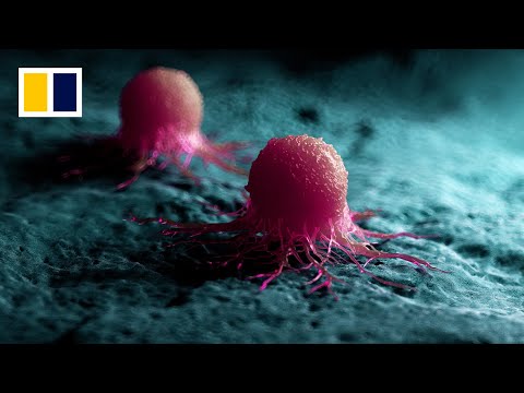 China-Singapore team's nanovaccine suppresses cancer recurrence and spread in animal tests