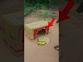 DIY Bird Trap