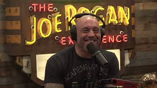 JRE 1920 - Dave Portnoy