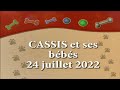 CASSIS 24 JUILLET 2022